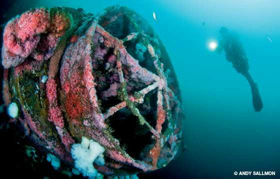 San Diego Saturdays: Explore San Diego by Defying the Elements